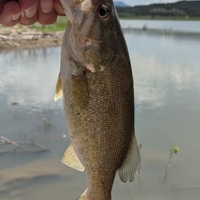 Fishing in Trinidad Lake | Fishbrain