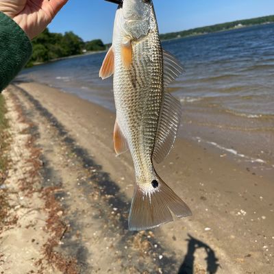 piankatank catches logged