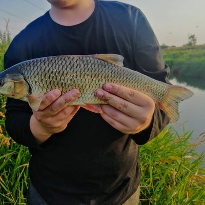 Fishing in River Hull | Fishbrain