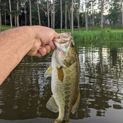 Fishing in Lake Acworth | Fishbrain