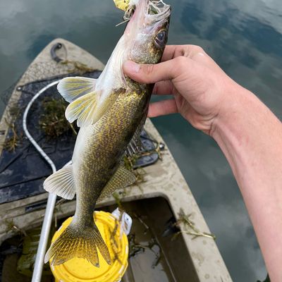 Fishing in Three Mile Lake | Fishbrain