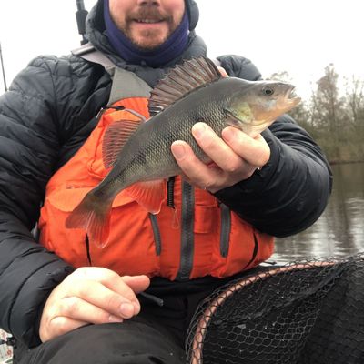 loch woodhall catches logged