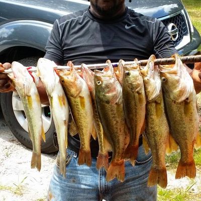 Fishing In Richards Lake Fishbrain