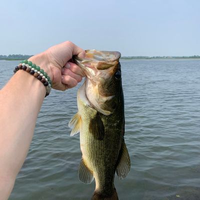 Fishing in Metzger Marsh | Fishbrain