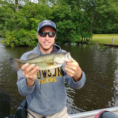 Fishing in Pocomoke River | Fishbrain