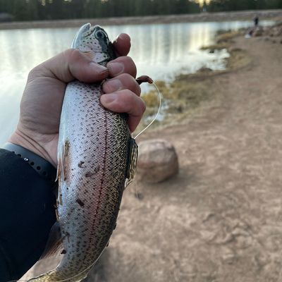 Fishing in Pine Valley Reservoir | Fishbrain