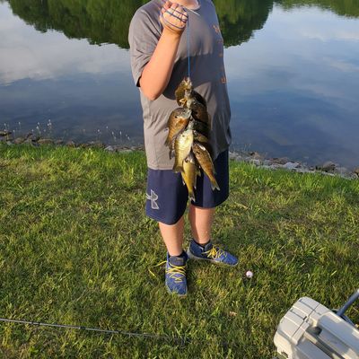 Fishing in Ken-Ray Lake | Fishbrain