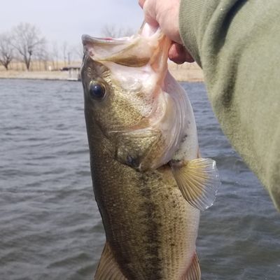 Fishing In Burchard Lake Fishbrain