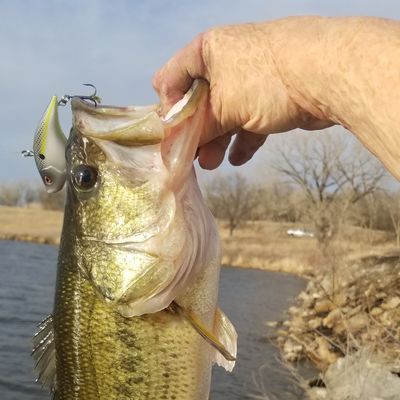 Fishing In Burchard Lake Fishbrain