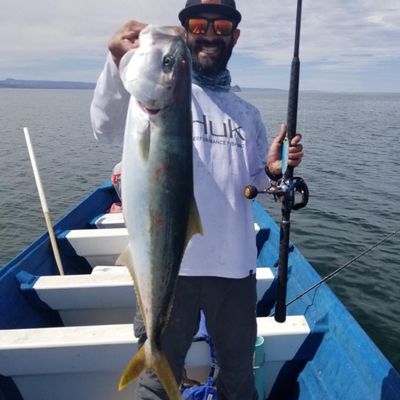 Fishing in Bahía de los Ángeles | Fishbrain