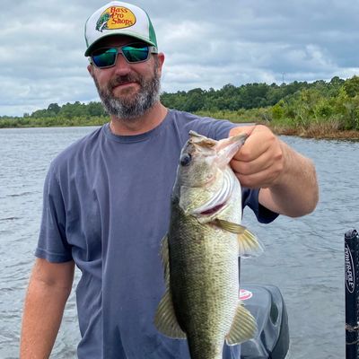 Fishing in Goose Creek Reservoir | Fishbrain