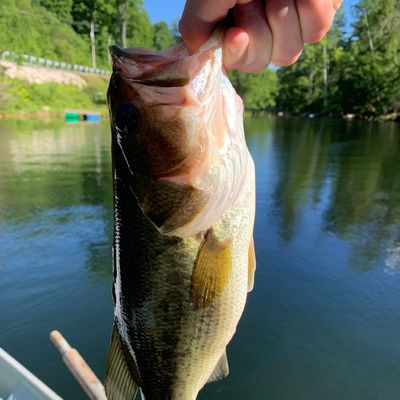 Fishing in Woodward Reservoir | Fishbrain