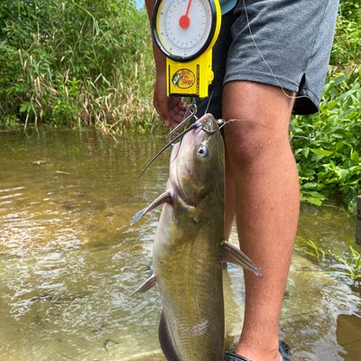 geist reservoir catches logged