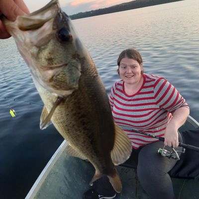 Fishing in Little Lake | Fishbrain