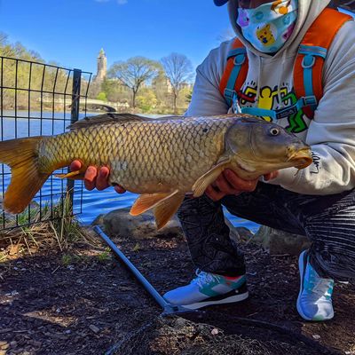 onassis reservoir catches