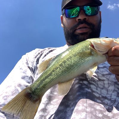 Fishing in Percy priest lake | Fishbrain