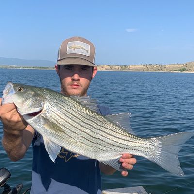 Fishing in Pueblo Reservoir | Fishbrain