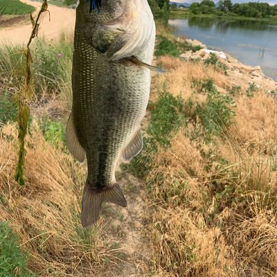 reservoir catches