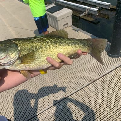 Fishing In Osoyoos Lake Fishbrain