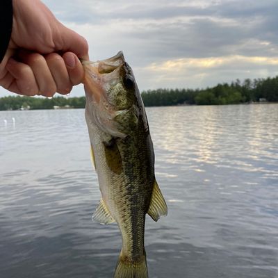 Fishing in Mousam Lake | Fishbrain