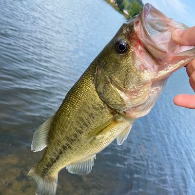 Fishing in Lake Logan | Fishbrain