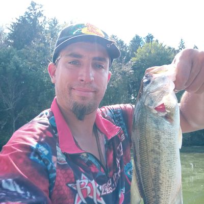 Fishing in Mogadore Reservoir | Fishbrain