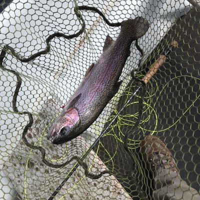 Fishing in Ladybower Reservoir