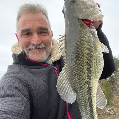 Fishing in Hardy Lake