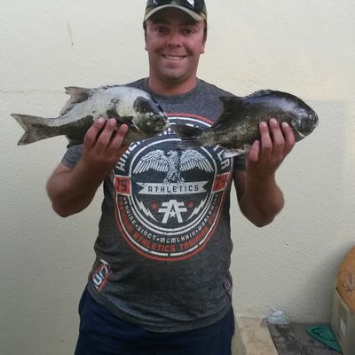 colorado fishing report app