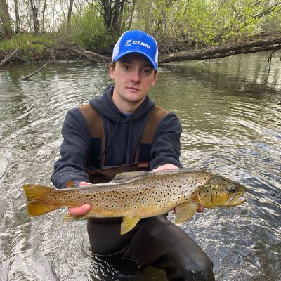 Vermillion River Trout Fishing Map Fishing In South Branch Vermillion River