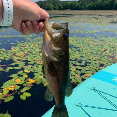 Fishing in Sleepy Creek Lake