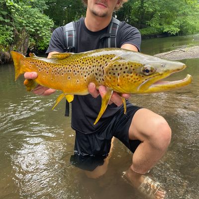 Vermillion River Trout Fishing Map Fishing In South Branch Vermillion River