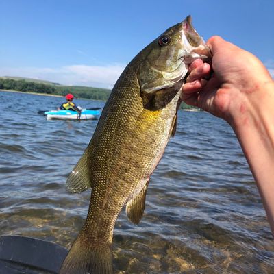 Fishing reports, best baits and forecast for fishing in Mount Storm Lake