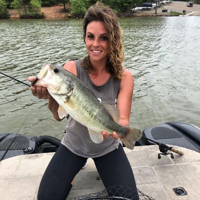 Fishing reports, best baits and forecast for fishing in Lake Hickory