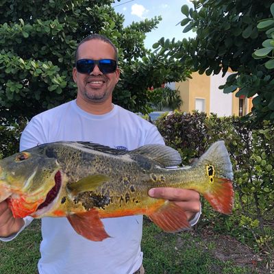 Fishing in Mowry Canal Number C-103