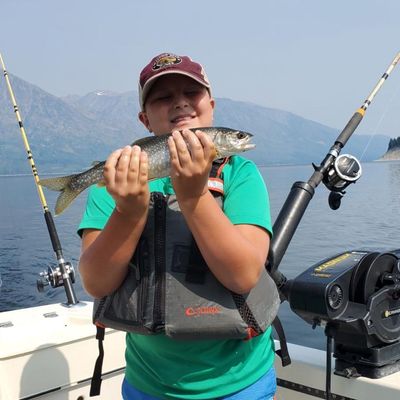 Recently caught Lake trout