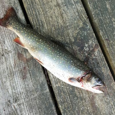 Fishing in Nubanusit Lake