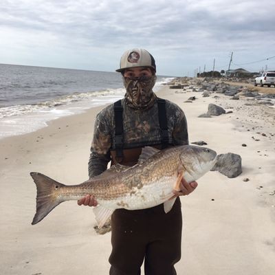 Ochlockonee Bay Fishing Map Fishing In Ochlockonee Bay