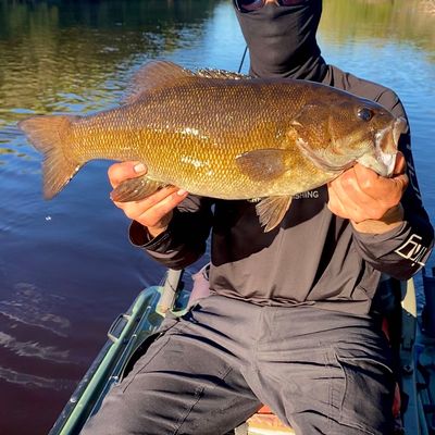 Peshtigo River Fishing Map Fishing In Peshtigo River