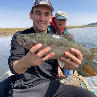 utah fish stocking report 2019