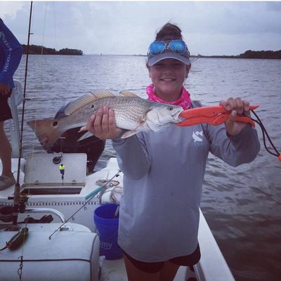 Fishing reports, best baits and forecast for fishing in Gulf ...