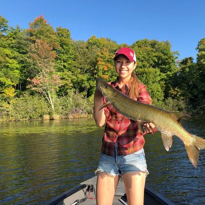 Flambeau Flowage Fishing Report Fishing In Turtle Flambeau Flowage