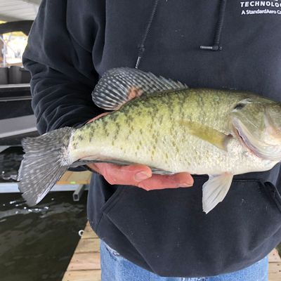 Fishing in Sterett Creek