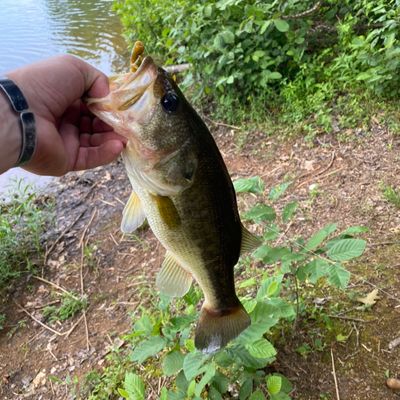 Fishing in Lunga Reservoir