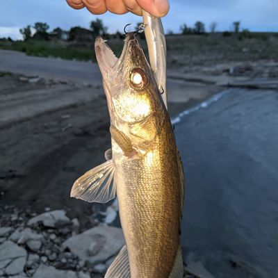 Catch from arcane_bassin