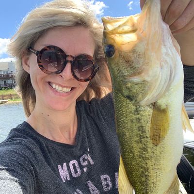 Fishing reports, best baits and forecast for fishing in Bangs Lake