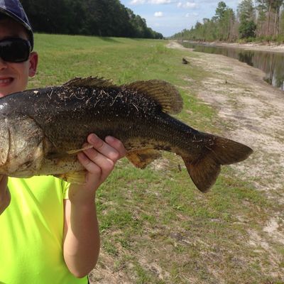 Fishing reports, best baits and forecast for fishing in Okefenokee Swamp