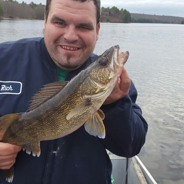 7 Lbs 25 In Walleye Caught By Ricky Beauchesne