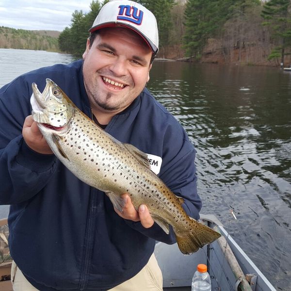 3 5 Lbs 22 In Brown Trout Caught By Ricky Beauchesne