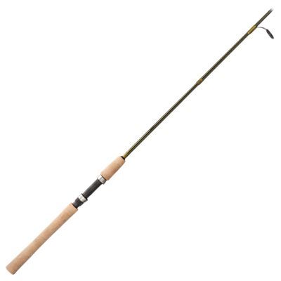 vision catapult salmon rod